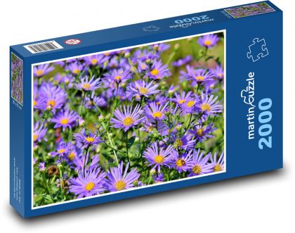 Astry - fialové květy, rostliny - Puzzle 2000 dílků, rozměr 90x60 cm