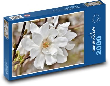 Bílá magnolie - květ, rostlina - Puzzle 2000 dílků, rozměr 90x60 cm