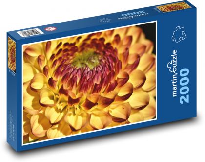 Dalia pomarańczowa - kwiat, ogród - Puzzle 2000 elementów, rozmiar 90x60 cm