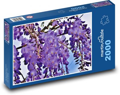 Vistárie - fialová rostlina, květ - puzzle 2000 dílků