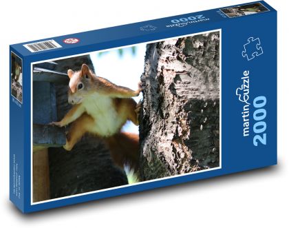 Eichhörnchen - Tier, Nagetier - Puzzle - 2000 Teile
