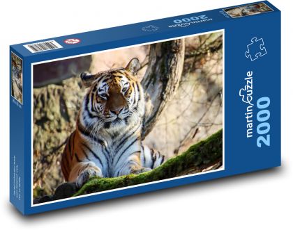 Dravec, tiger, šelma - Puzzle 2000 dielikov, rozmer 90x60 cm 