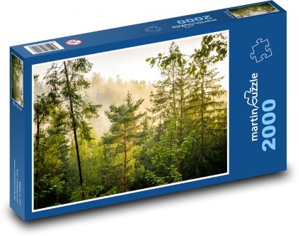 Forest - fog, Lower Austria - Puzzle 2000 pieces, size 90x60 cm 