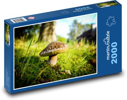 Houba v lese - mech, podzim - puzzle 2000 dílků
