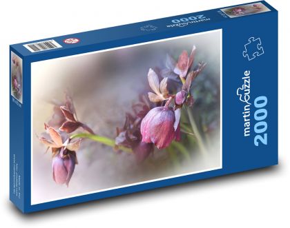 Hellebore - spring, plant - Puzzle 2000 pieces, size 90x60 cm 