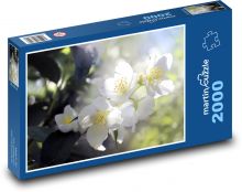 Weiße Blume - Baum, Frühling Puzzle 2000 Teile - 90 x 60 cm