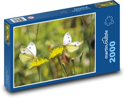 Butterflies - pollination, flowers - Puzzle 2000 pieces, size 90x60 cm 