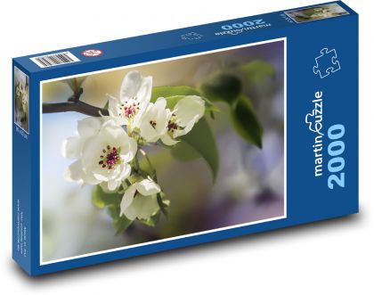 Kvety - čerešňa, strom - Puzzle 2000 dielikov, rozmer 90x60 cm 