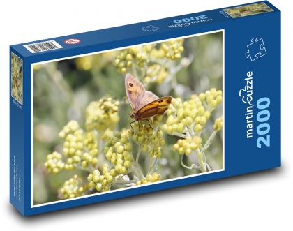 Butterfly - pollination, flower - Puzzle 2000 pieces, size 90x60 cm 