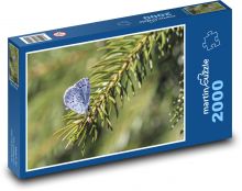 Blaue Stechpalme - Schmetterling, Fichte Puzzle 2000 Teile - 90 x 60 cm
