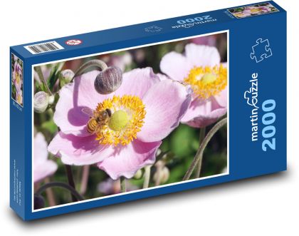 Zawilec - pszczoła, zapylanie - Puzzle 2000 elementów, rozmiar 90x60 cm