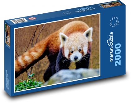 Panda červená - zviera. zoo - Puzzle 2000 dielikov, rozmer 90x60 cm 