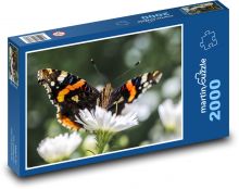 Motýl - křídla, opýlení Puzzle 2000 dílků - 90 x 60 cm