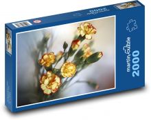 Karafiát - žluté květy, rostlina Puzzle 2000 - 90x60 cm