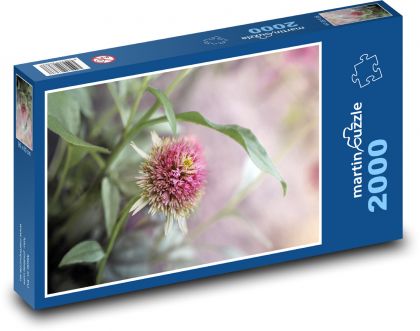 Echinacea - kvet, záhrada - Puzzle 2000 dielikov, rozmer 90x60 cm 