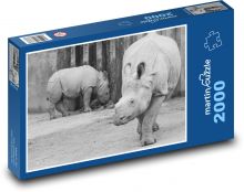 Nosorožec - mládě, zvíře Puzzle 2000 dílků - 90 x 60 cm