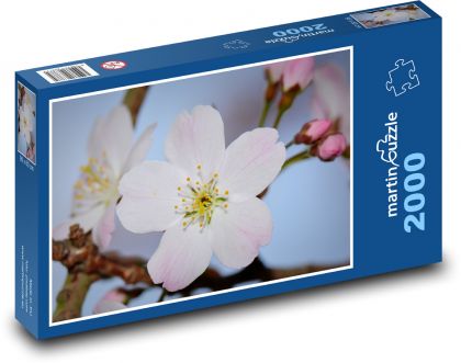 Kwiat - natura, wiosna - Puzzle 2000 elementów, rozmiar 90x60 cm