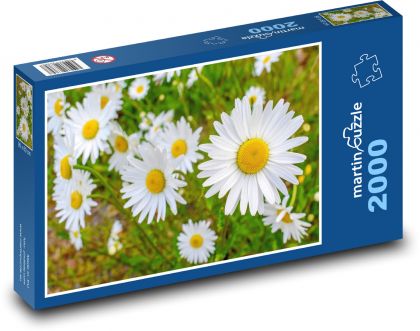 Květiny - příroda, jaro  - Puzzle 2000 dílků, rozměr 90x60 cm