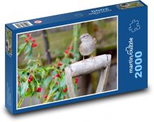 Spevný vták - príroda, zviera Puzzle 2000 dielikov - 90 x 60 cm