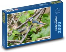 Sýkorka modrinka - vták, strom Puzzle 2000 dielikov - 90 x 60 cm