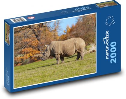 Nosorožec - divoká zver, Afrika - Puzzle 2000 dielikov, rozmer 90x60 cm 