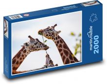 Žirafa - dlouhý krk, zvíře Puzzle 2000 dílků - 90 x 60 cm
