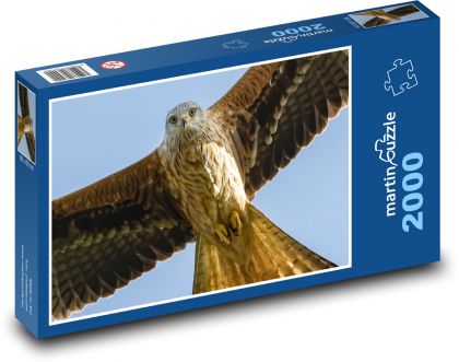 Red dragon - bird, predator - Puzzle 2000 pieces, size 90x60 cm 