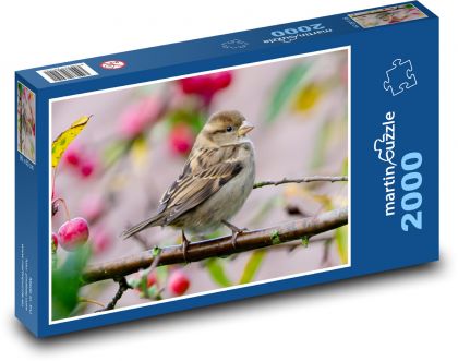 Vrabec poľný - spevavý vták, zviera - Puzzle 2000 dielikov, rozmer 90x60 cm 
