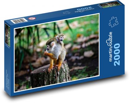 Monkey with a cub - mother, love - Puzzle 2000 pieces, size 90x60 cm 
