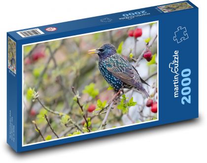 Erwachsener Star - Vogel, Baum - Puzzle - 2000 Teile