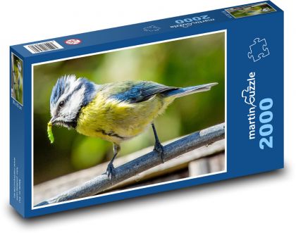 Modraszka - ptak, pióra - Puzzle 2000 elementów, rozmiar 90x60 cm