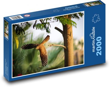 Polowanie na pustułkę - ptak latający - Puzzle 2000 elementów, rozmiar 90x60 cm