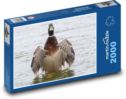 Ente - Wildente, Wasservogel - Puzzle - 2000 Teile