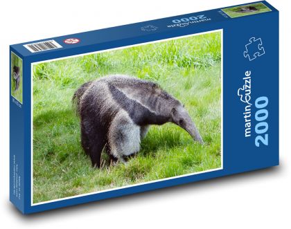 Mravčiar - zviera, cicavec - Puzzle 2000 dielikov, rozmer 90x60 cm 