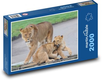 Löwin - Mutter, Jungen - Puzzle - 2000 Teile