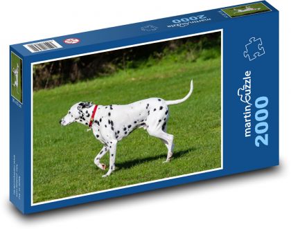 Dalmatian - dog, pet - Puzzle 2000 pieces, size 90x60 cm 