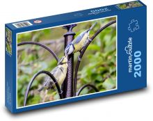 Sýkorka - vták, perie Puzzle 2000 dielikov - 90 x 60 cm