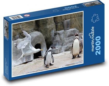 Tučňák - racek, zvířata - Puzzle 2000 dílků, rozměr 90x60 cm