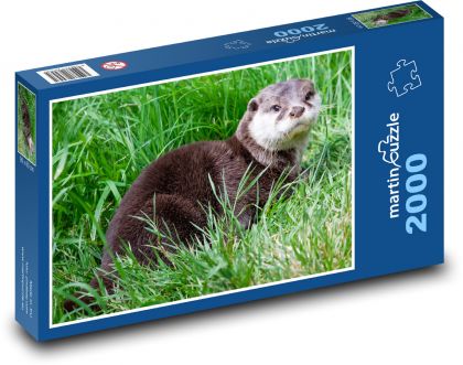 Vydra - tráva, zviera - Puzzle 2000 dielikov, rozmer 90x60 cm 
