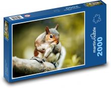 Veverka - hlodavec, zvíře Puzzle 2000 dílků - 90 x 60 cm