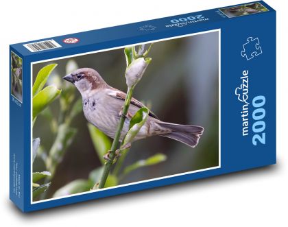 Vrabec na vetve - vták, vetva - Puzzle 2000 dielikov, rozmer 90x60 cm 