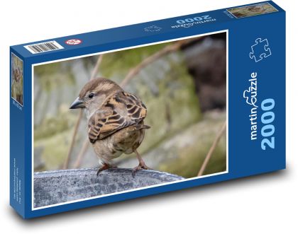 Sparrow - bird, animal - Puzzle 2000 pieces, size 90x60 cm 