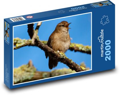 Střízlík na větvi - pták, zvíře - Puzzle 2000 dílků, rozměr 90x60 cm