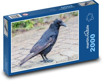 Old crow - bird, animal - Puzzle 2000 pieces, size 90x60 cm 