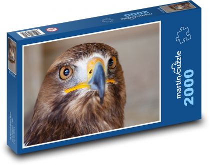 Káne - dravec, vták - Puzzle 2000 dielikov, rozmer 90x60 cm 