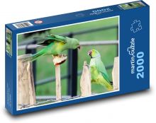 Papagáje na plote - boj, vtáky Puzzle 2000 dielikov - 90 x 60 cm
