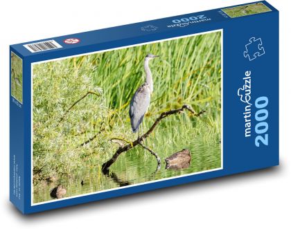 Czapla siwa - ptak, jezioro - Puzzle 2000 elementów, rozmiar 90x60 cm