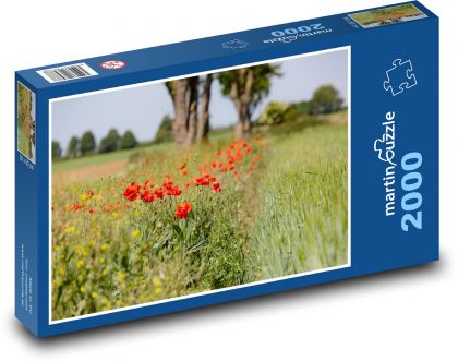 Červený mák - květ, louka - Puzzle 2000 dílků, rozměr 90x60 cm