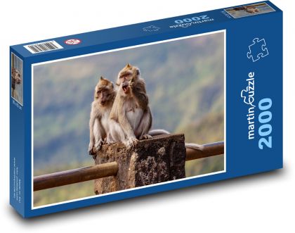 Macaque - monkeys, animals - Puzzle 2000 pieces, size 90x60 cm 