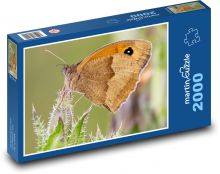 Motýl - okáč luční, hmyz Puzzle 2000 dílků - 90 x 60 cm